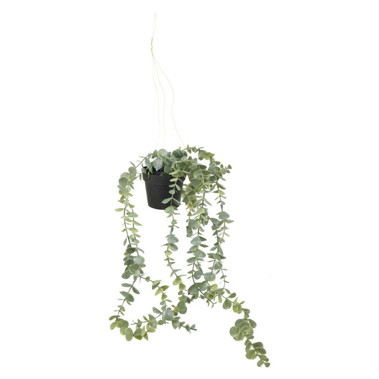 The Seasonal Aisle 69Cm Faux Ivy Plant in Pot & Reviews Wayfair.co.uk